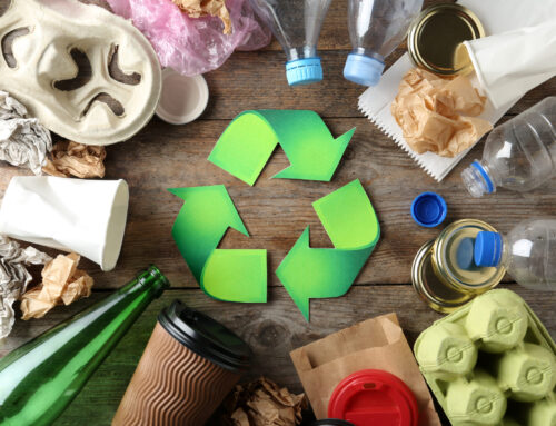 Recycling 101: Understanding the Basics and Benefits of Effective Recycling Programs