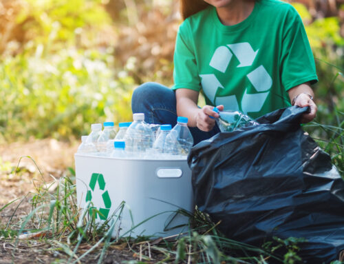 Garbage Collection and Recycling: A Partnership for a Greener Future