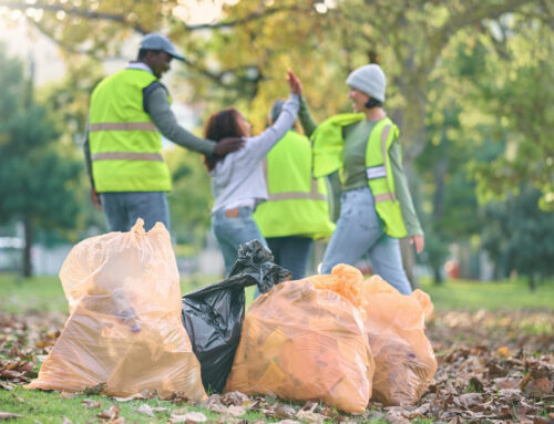 Understanding the Garbage Collection Process From Curbside to Landfill