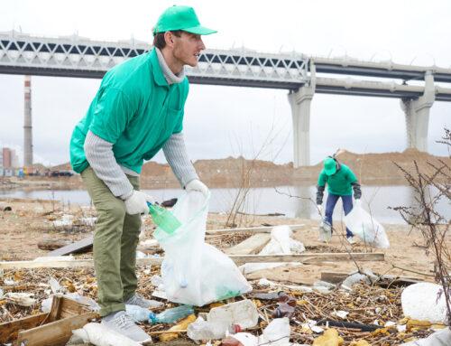 The Role of Waste Management in Preventing Pollution