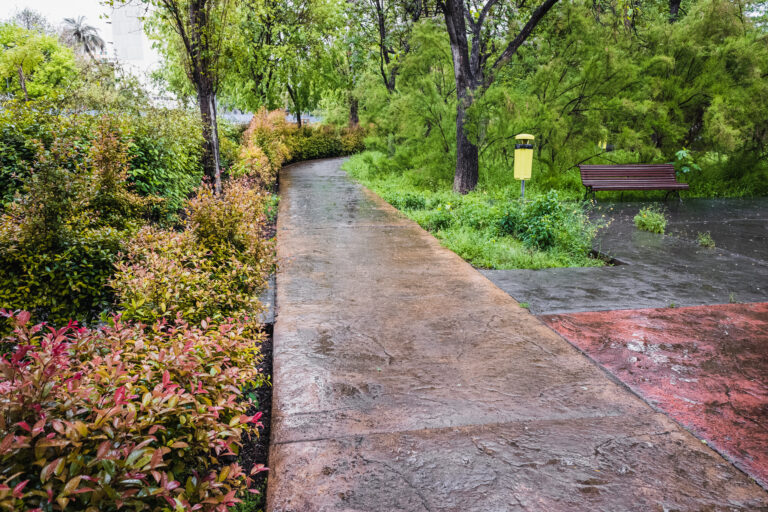 Green Cities Start with Clean Streets: Understanding Garbage Services