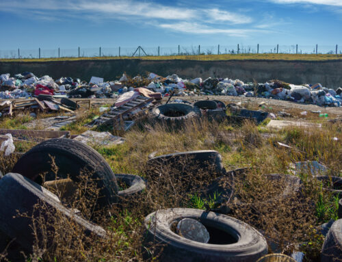 The Role of Trash Pickup Services in Preventing Illegal Dumping