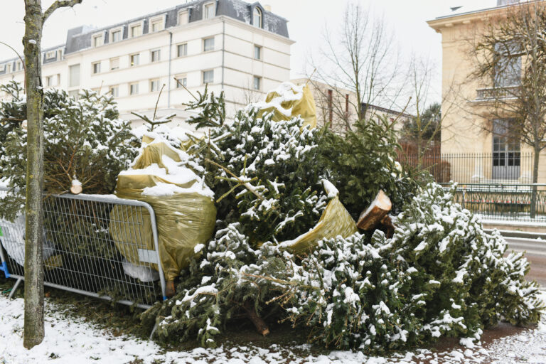 The Oconee County Federal Holiday Trash Pickup Schedule