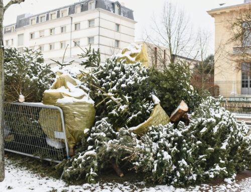 The Oconee County Federal Holiday Trash Pickup Schedule