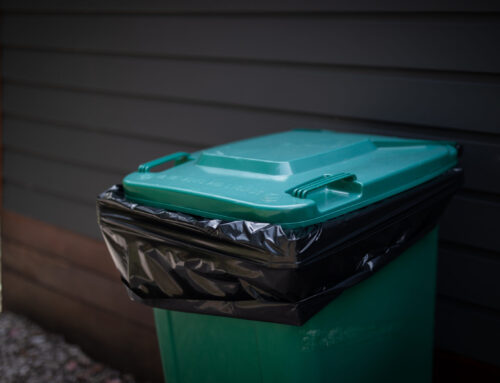 What to Expect from Professional Home Trash Pick Up Services in Oglethorpe County