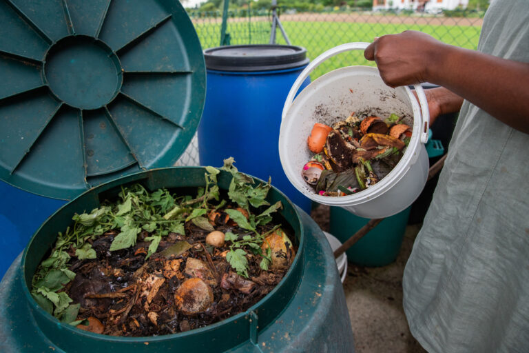 Why You Should Compost Certain Food Scraps Instead of Throwing Them in the Trash