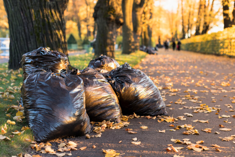 10 Red Flags to Look Out for When it Comes to Sanitation Services