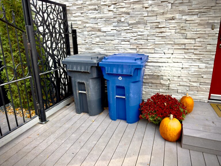 The Importance of Sanitation Services in Bogart