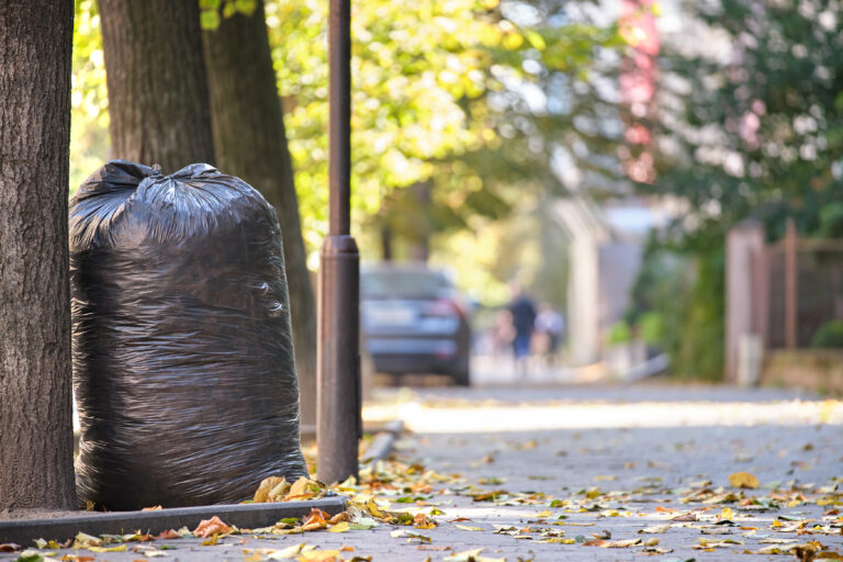 Why Regular Garbage Collection in Georgia is Necessary
