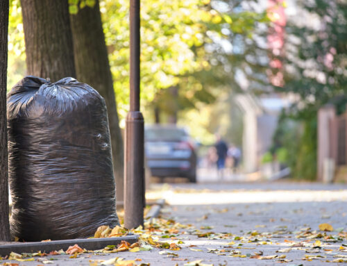 Why Regular Garbage Collection in Georgia is Necessary