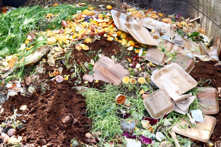 What Things You Should Consider Composting Rather Than Throwing in the Trash