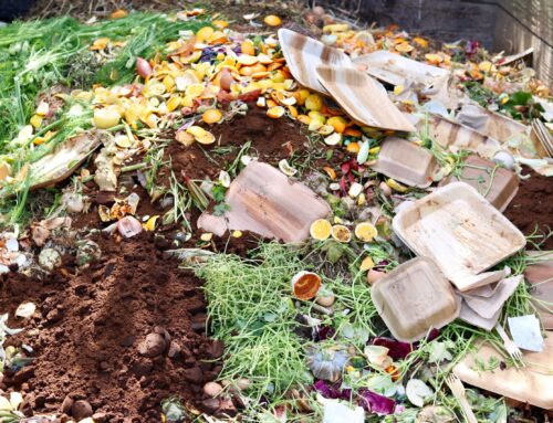 What Things You Should Consider Composting Rather Than Throwing in the Trash