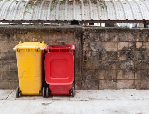 Trash Can Etiquette: Keeping Your Neighborhood Clean and Considerate