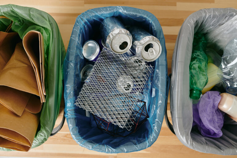 Why Recycling Should Not Be Dumped in the Trash Bin