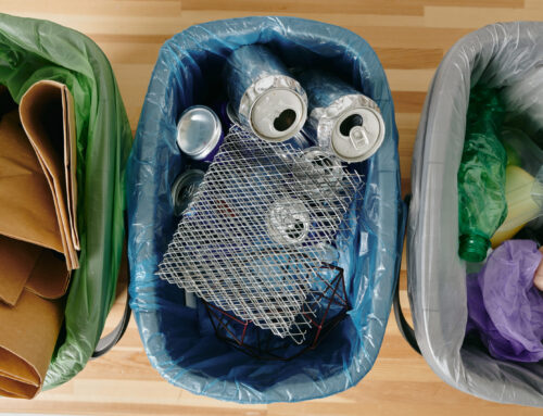 Why Recycling Should Not Be Dumped in the Trash Bin