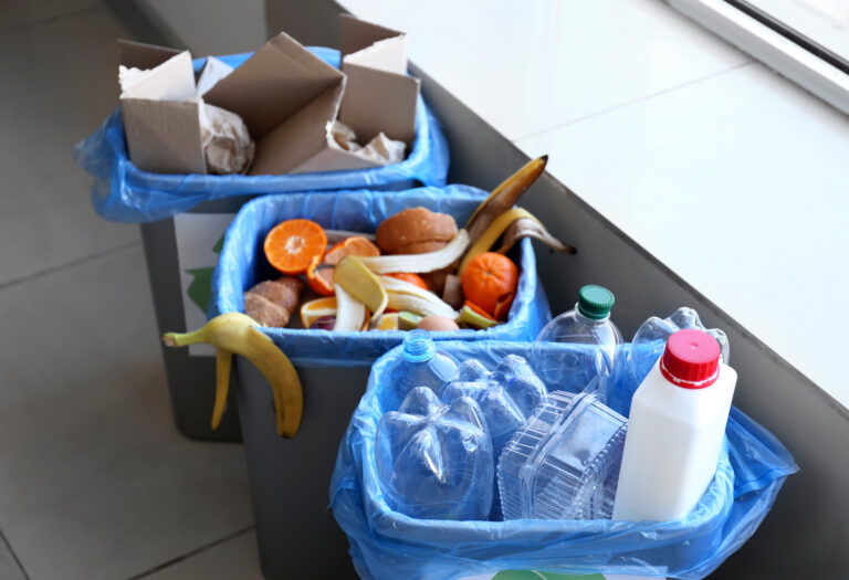Why You Should Empty Your Trash Before Going Out of Town for the Holidays