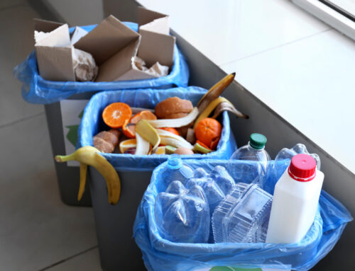 Why You Should Empty Your Trash Before Going Out of Town for the Holidays