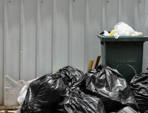 How to Best Secure Your Trash Against the Elements