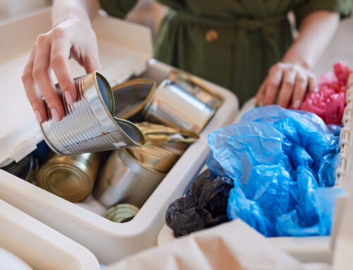 Starting the New Year Right by Throwing Away Your Trash Responsibly